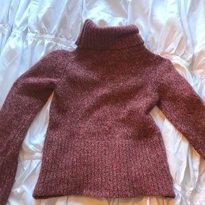 Express Turtleneck Sweater